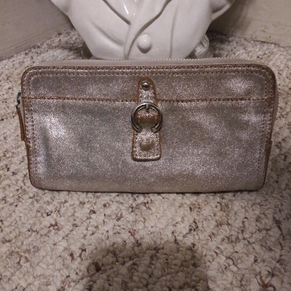 Tano Sparkly Silver Leather Clutch/Wallet